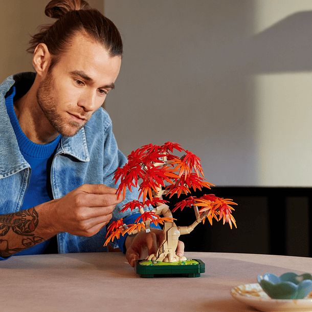 Bonsai de Bordo Vermelho Japonês 6