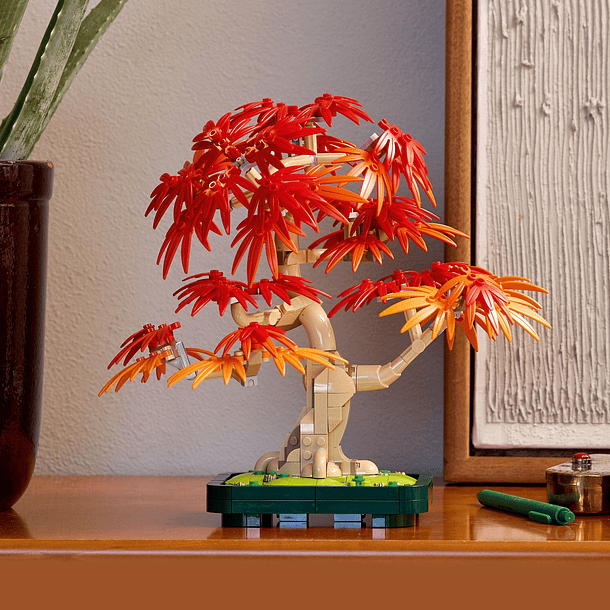 Bonsai de Bordo Vermelho Japonês 3