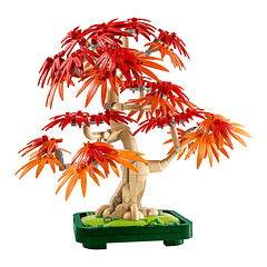 Bonsai de Bordo Vermelho Japonês