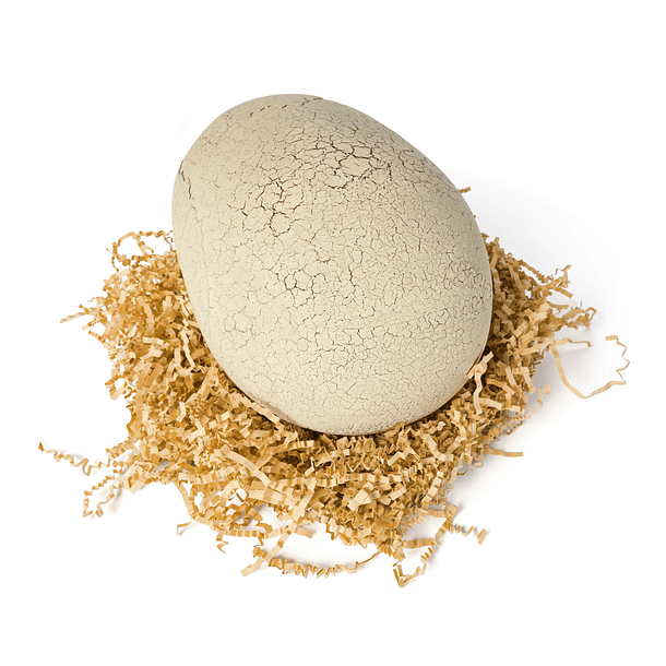 Primal Hatch - Dinossauro T. Rex Interativo 4