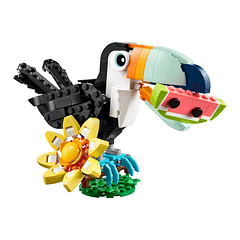 Animais Selvagens: Tucano Tropical