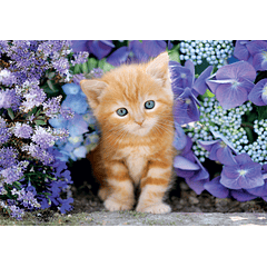 Puzzle 500 pçs - Ginger Cat