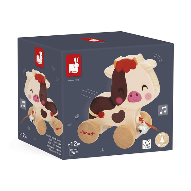 Vaca de Puxar da Quinta 1