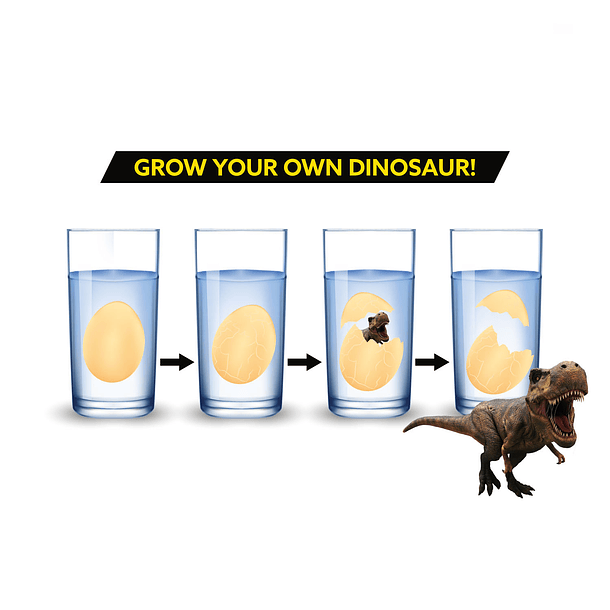 Ovo Dinossauro Cresce Incubação na Água 3