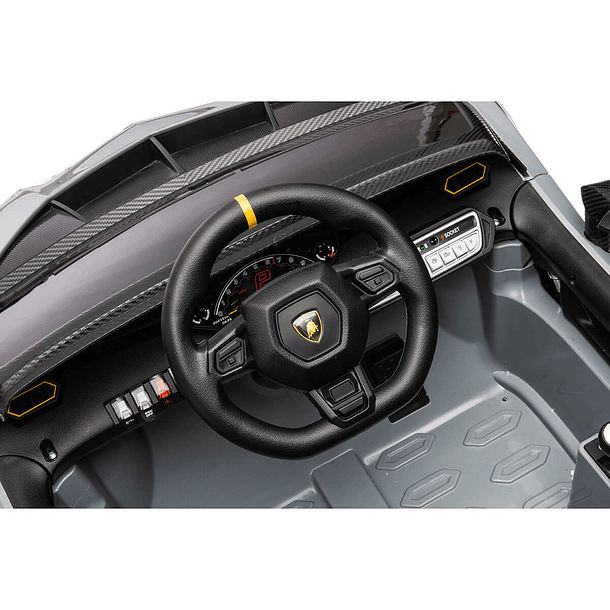 Lamborghini Autentica Cinza 12V 5