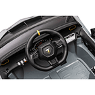 Lamborghini Autentica Cinza 12V 5
