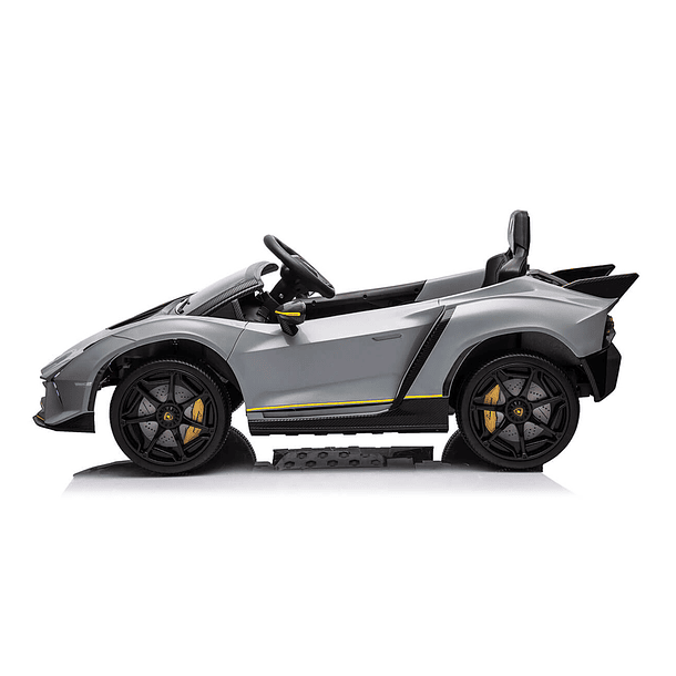 Lamborghini Autentica Cinza 12V 3
