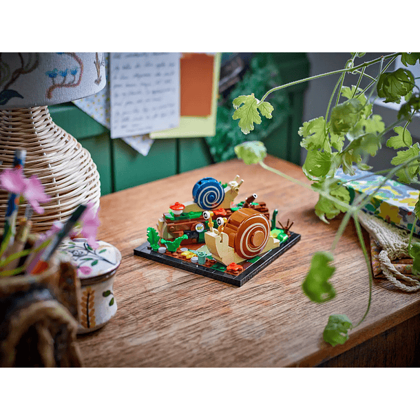 Caracóis Amigáveis 3