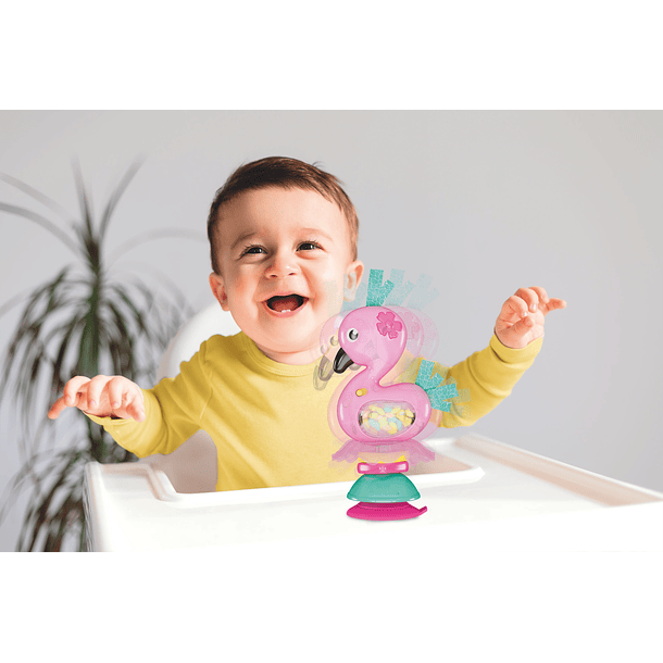 Baby - Fancy Flamingo 5