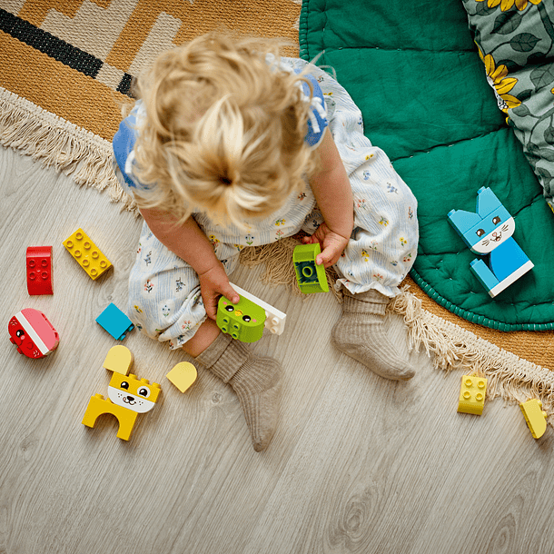 Animais Criativos Adoráveis 3 em 1 5