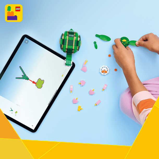 Tartaruga Com Nenúfar 11