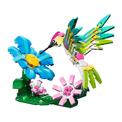 Animais Selvagens: Beija-flor Colorido