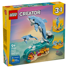 Animais Marinhos: Golfinhos Encantadores