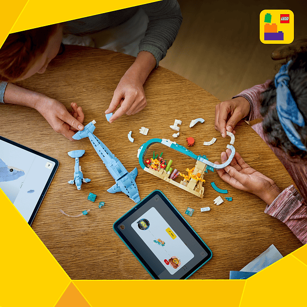 Animais Marinhos: Golfinhos Encantadores 9