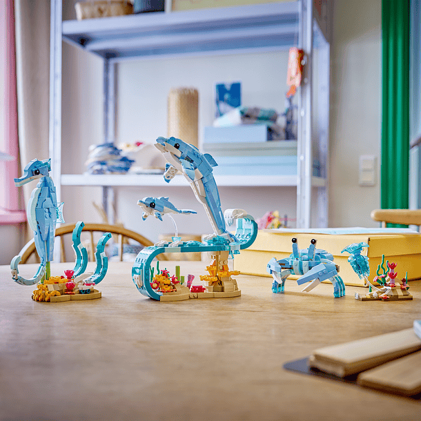 Animais Marinhos: Golfinhos Encantadores 8