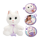 Baby Paws - Gato Branco 3
