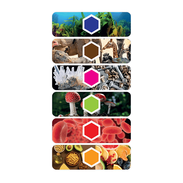 Microscópio Digital Smart AI - 2 em 1 5