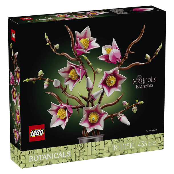 Ramos de Magnólia 1