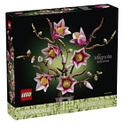 Ramos de Magnólia 1