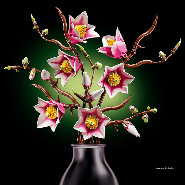 Ramos de Magnólia 5