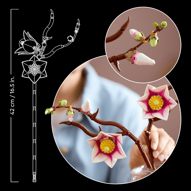 Ramos de Magnólia 7