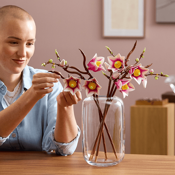 Ramos de Magnólia 10