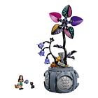 O Vaso de Flores da Sally 2