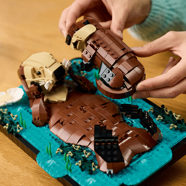 Lontras Marinhas Flutuantes 9