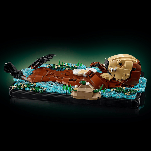 Lontras Marinhas Flutuantes 5