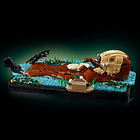 Lontras Marinhas Flutuantes 5