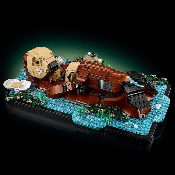 Lontras Marinhas Flutuantes 3