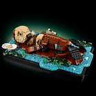 Lontras Marinhas Flutuantes 3