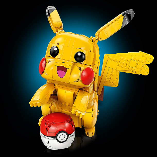 Pikachu e Pokébola 6