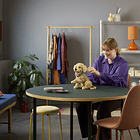 Cachorrinho Golden Retriever 13