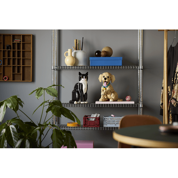 Cachorrinho Golden Retriever 11