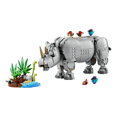 Animais Selvagens: Rinoceronte Majestoso com Aves