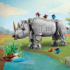 Animais Selvagens: Rinoceronte Majestoso com Aves 5
