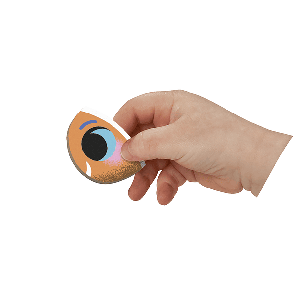 Livro Magnético - Peixes Tropicais 5