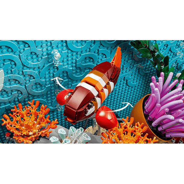 Aquário Tropical 10