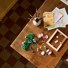 Moldura com Imagem Floral 3