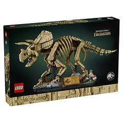 Fósseis de Dinossauros: Triceratops