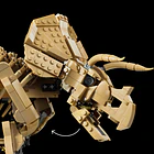 Fósseis de Dinossauros: Triceratops 5