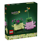 Plantas de Balançar 1