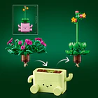 Plantas de Balançar 3