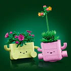 Plantas de Balançar 5