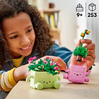 Plantas de Balançar 9