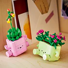 Plantas de Balançar 7