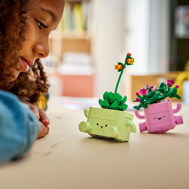 Plantas de Balançar 10