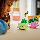 Plantas de Balançar 10