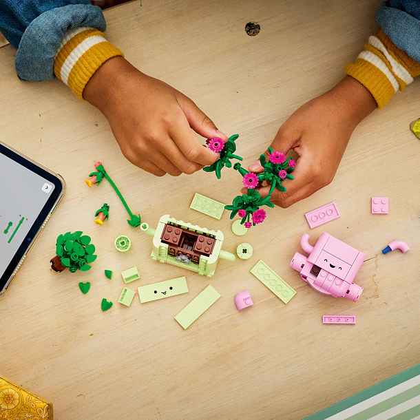 Plantas de Balançar 8